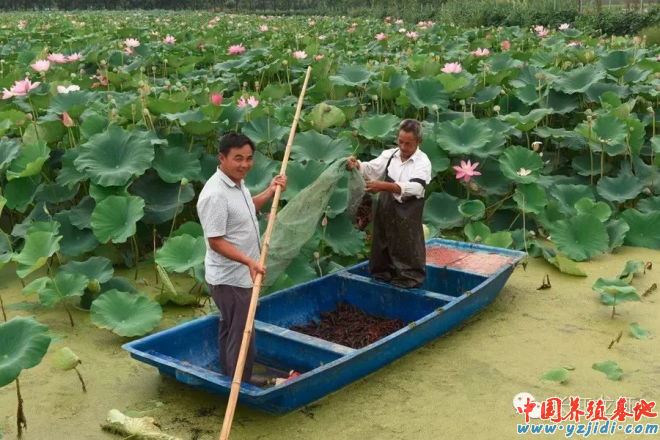 中國養殖基地 yzjidi.com