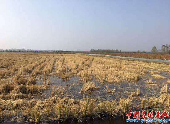 中國養殖基地 yzjidi.com