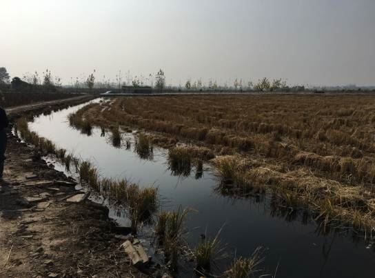 中國養殖基地 yzjidi.com