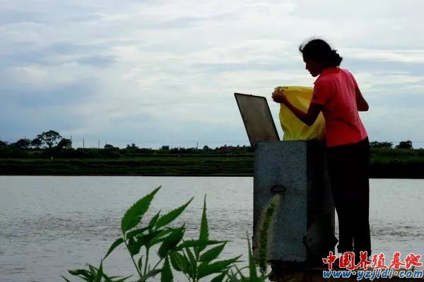 中國養殖基地 yzjidi.com
