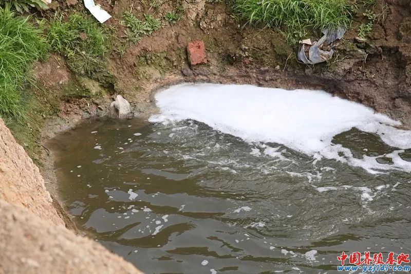 中國養殖基地 yzjidi.com
