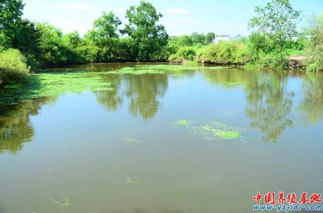 中國養殖基地 yzjidi.com
