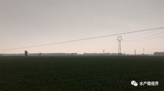 中國養殖基地 yzjidi.com