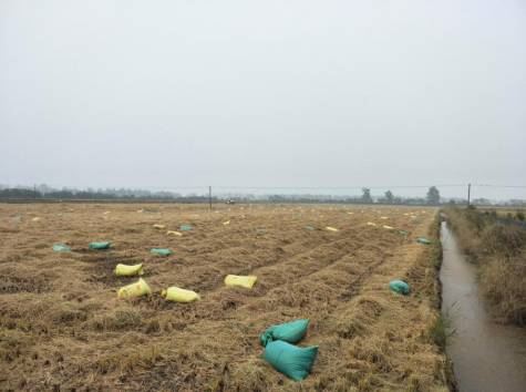 中國養殖基地 yzjidi.com