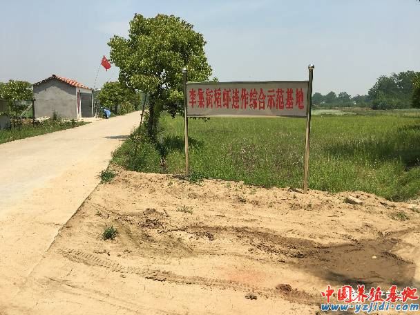 中國養殖基地 yzjidi.com