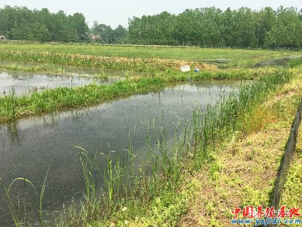 中國養殖基地 yzjidi.com