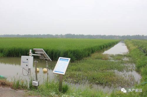 中國養殖基地 yzjidi.com