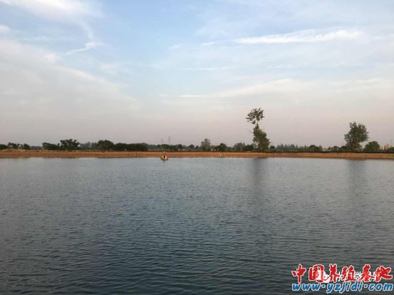 中國養殖基地 yzjidi.com