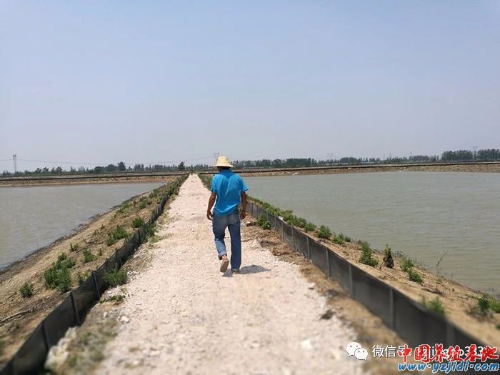 中國養殖基地 yzjidi.com