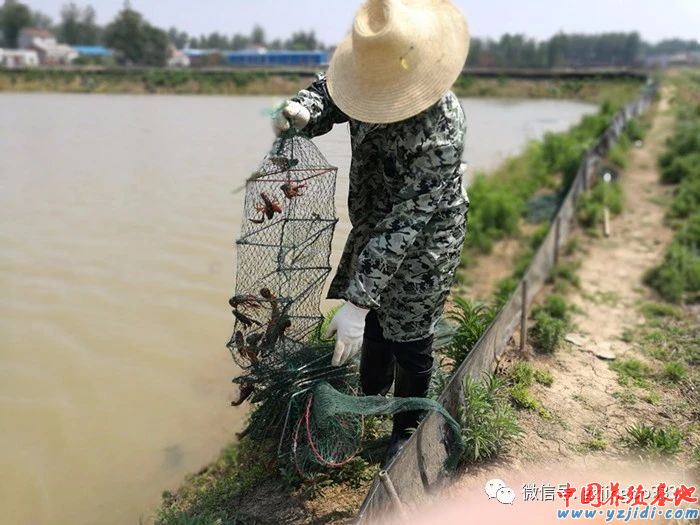 中國養殖基地 yzjidi.com