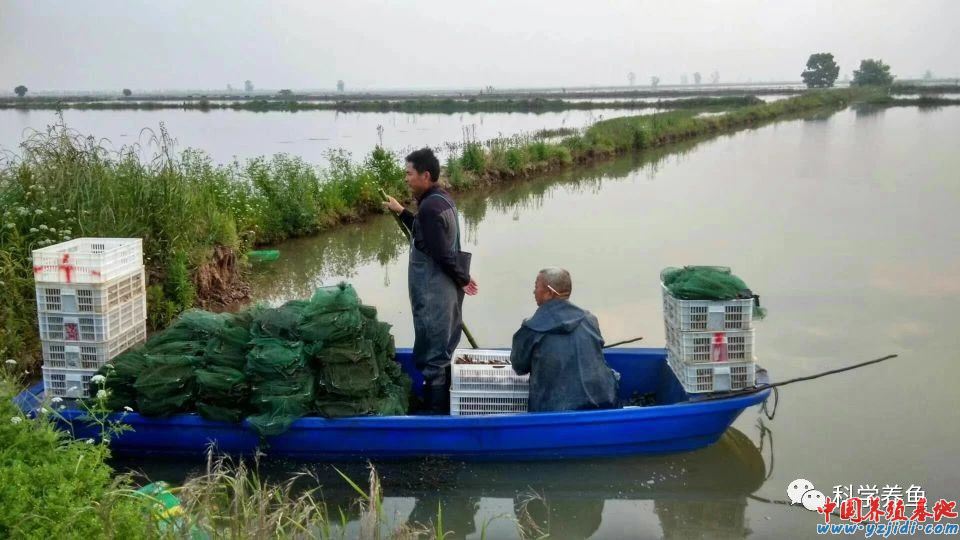 中國養殖基地 yzjidi.com
