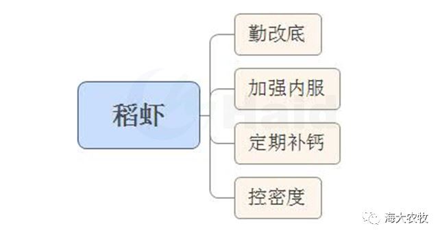 中國養殖基地 yzjidi.com