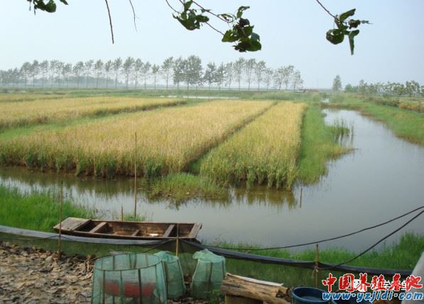 中國養殖基地 yzjidi.com