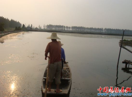 中國養殖基地 yzjidi.com