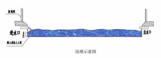 中國養殖基地 yzjidi.com