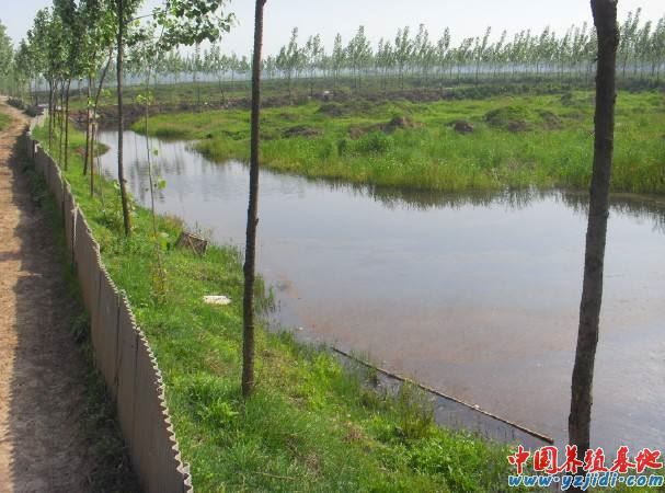 中國養殖基地 yzjidi.com