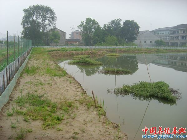 中國養殖基地 yzjidi.com