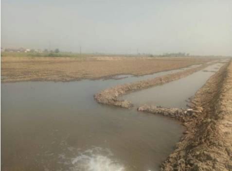 中國養殖基地 yzjidi.com