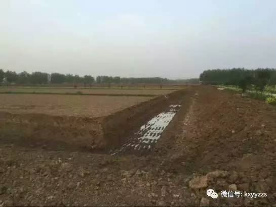 中國養殖基地 yzjidi.com