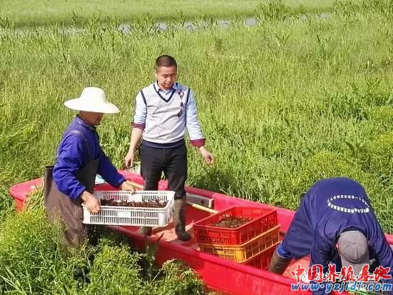 中國養殖基地 yzjidi.com