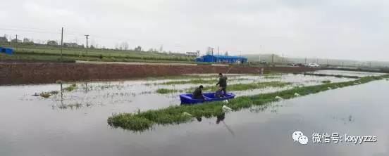 中國養殖基地 yzjidi.com