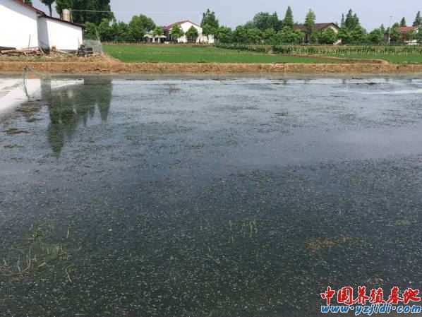 中國養殖基地 yzjidi.com