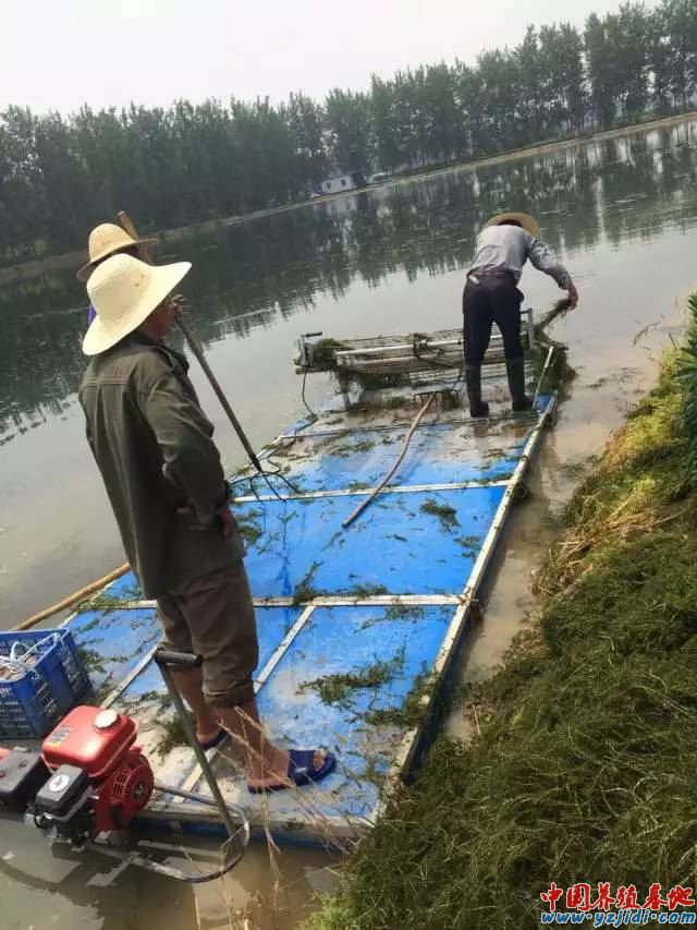 中國養殖基地 yzjidi.com