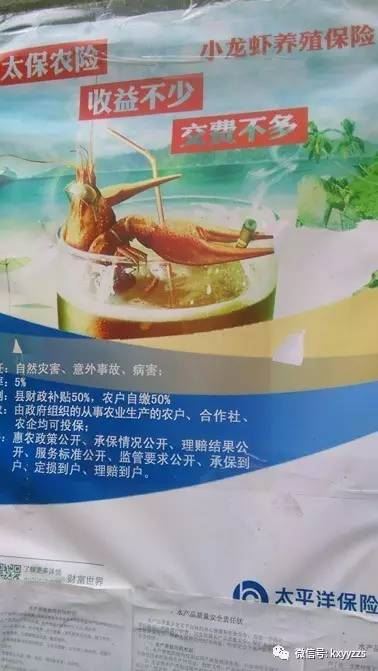中國養殖基地 yzjidi.com