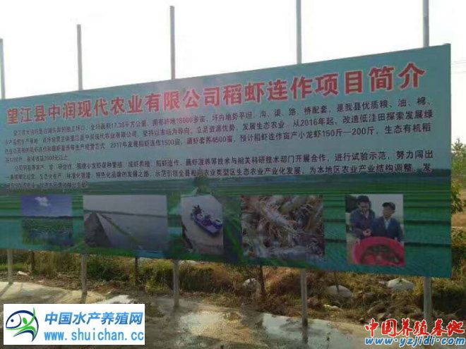 中國養殖基地 yzjidi.com