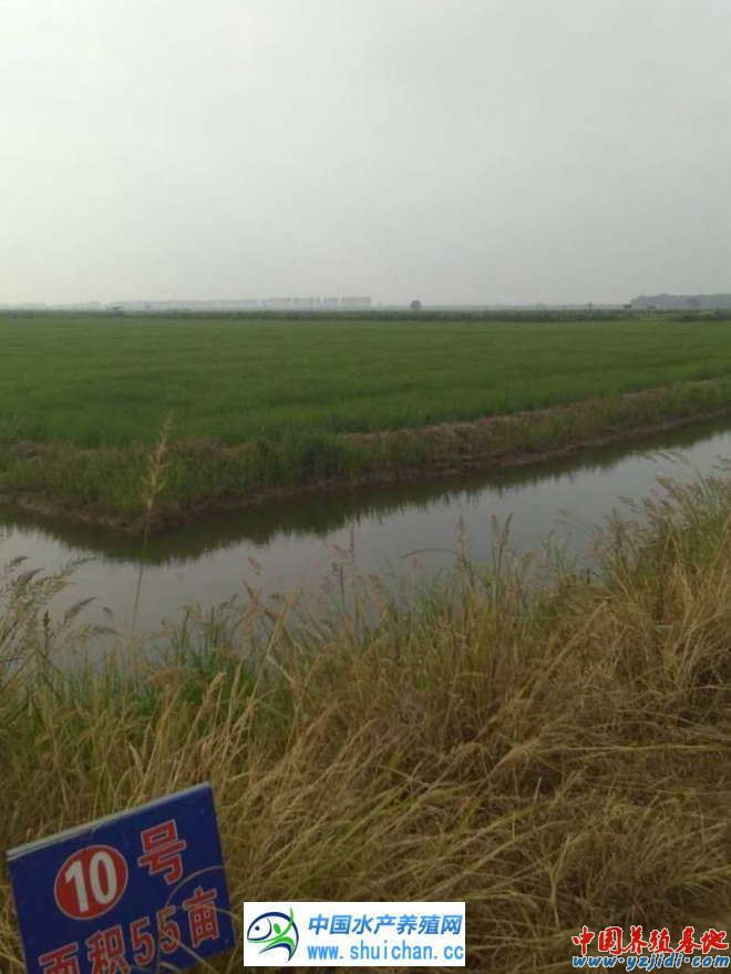 中國養殖基地 yzjidi.com