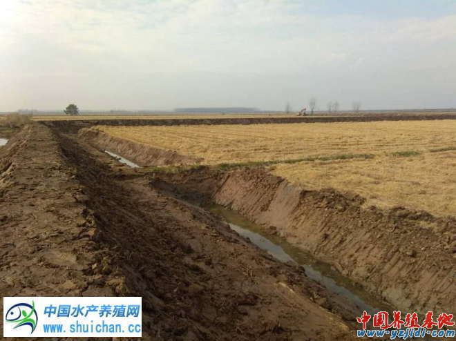中國養殖基地 yzjidi.com