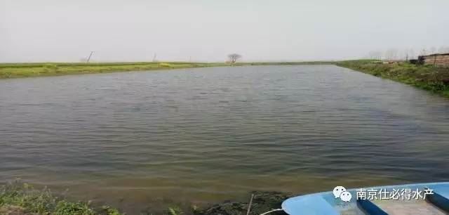 中國養殖基地 yzjidi.com