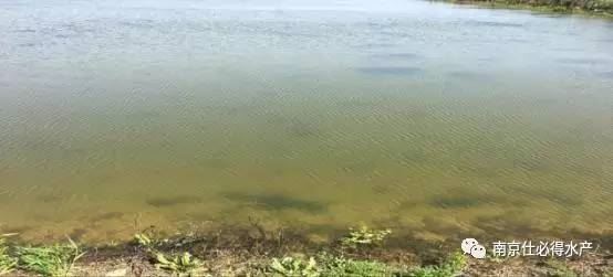 中國養殖基地 yzjidi.com