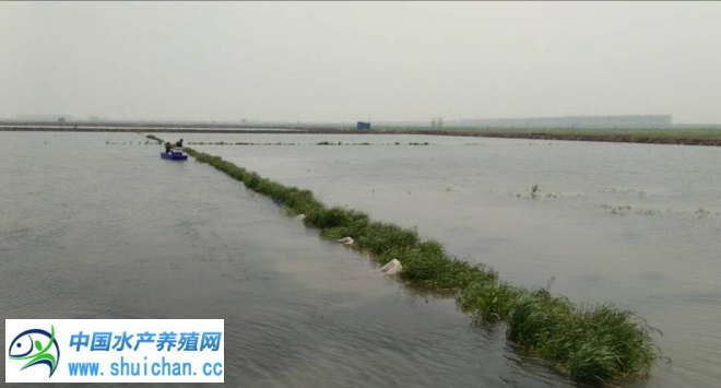 中國養殖基地 yzjidi.com