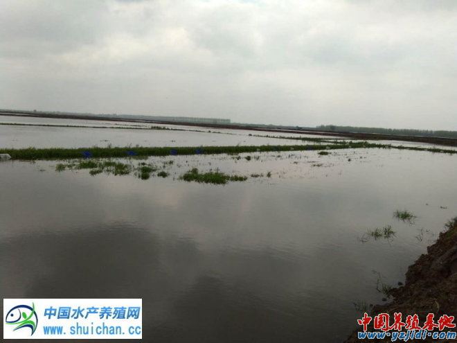 中國養殖基地 yzjidi.com