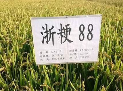 中國養殖基地 yzjidi.com