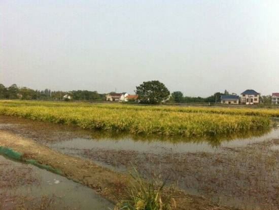 中國養殖基地 yzjidi.com