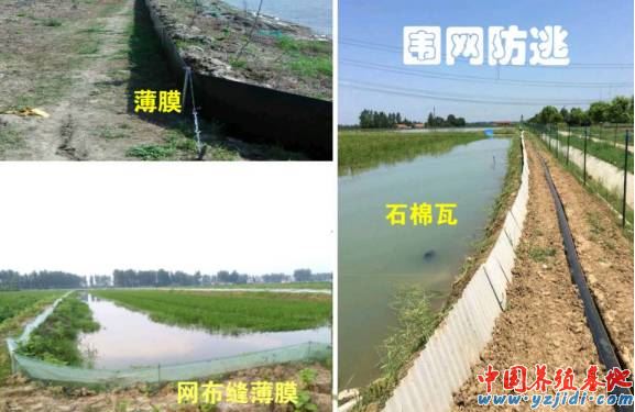 中國養殖基地 yzjidi.com