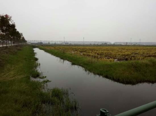 中國養殖基地 yzjidi.com