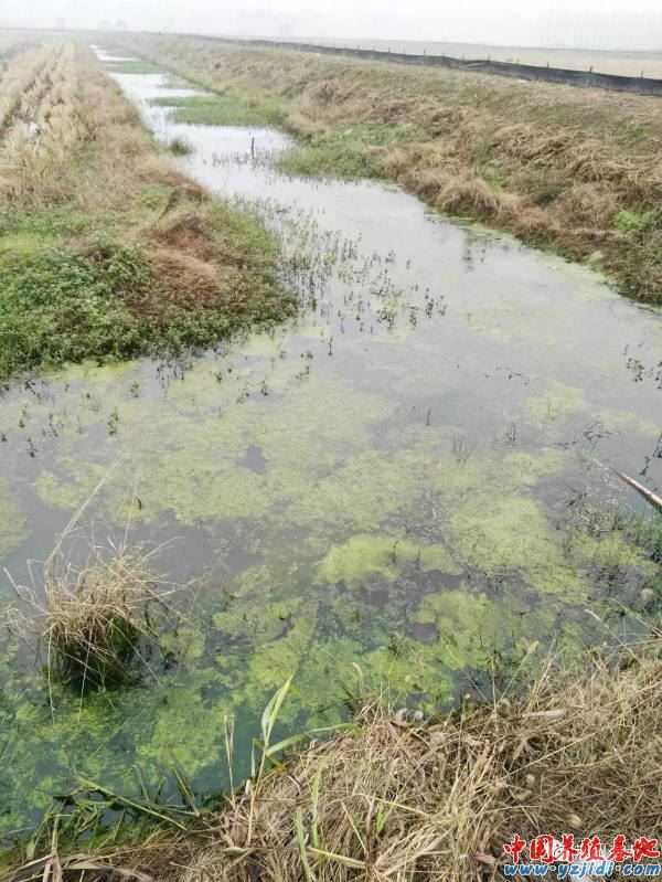 中國養殖基地 yzjidi.com