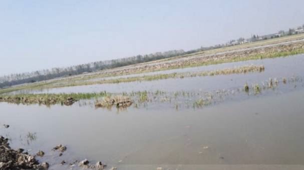 中國養殖基地 yzjidi.com