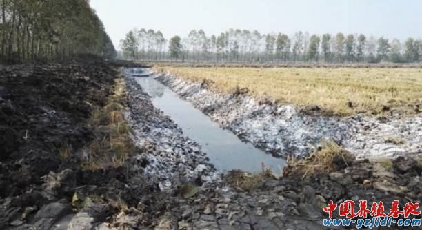 中國養殖基地 yzjidi.com