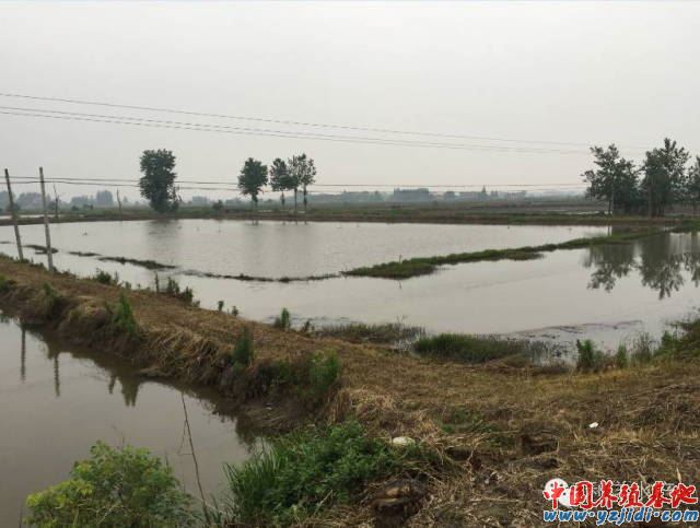 中國養殖基地 yzjidi.com