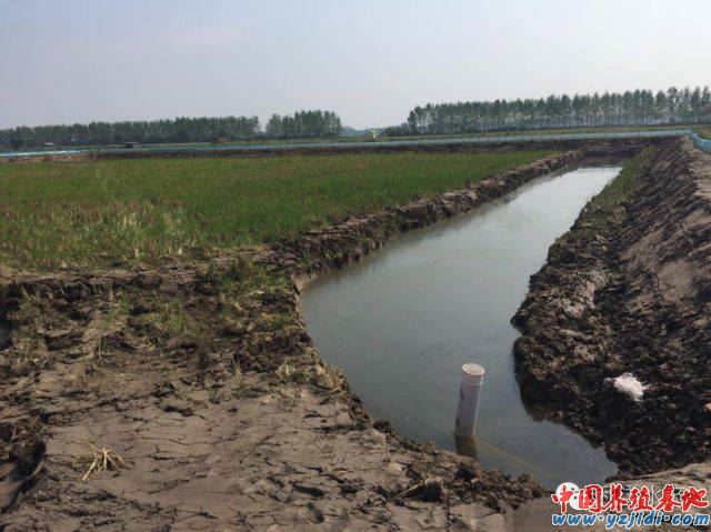 中國養殖基地 yzjidi.com