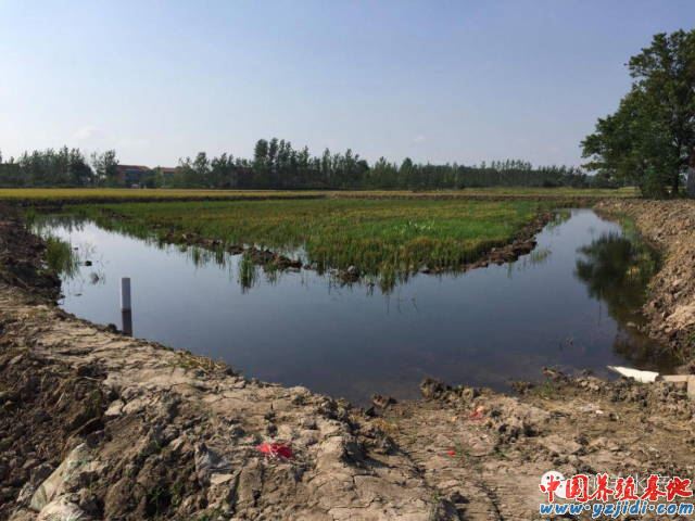中國養殖基地 yzjidi.com
