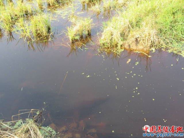 中國養殖基地 yzjidi.com