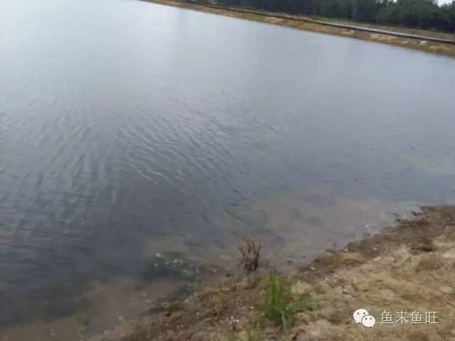 中國養殖基地 yzjidi.com