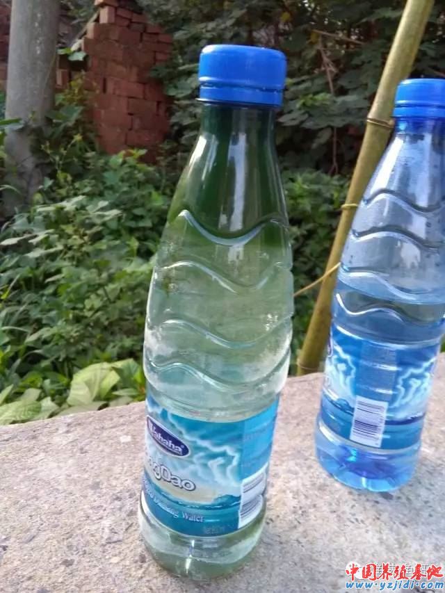 中國養殖基地 yzjidi.com