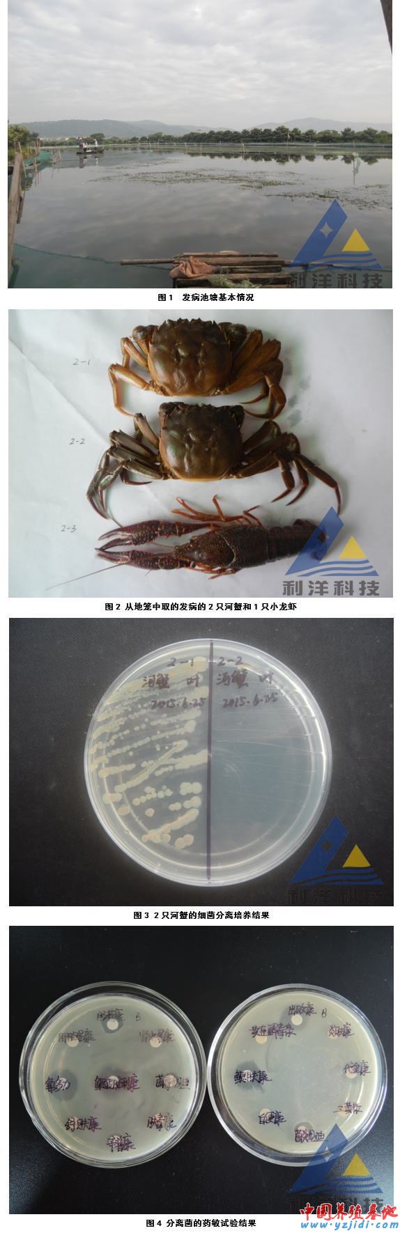 中國養殖基地 yzjidi.com
