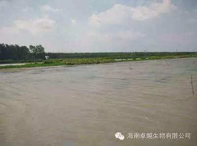 中國養殖基地 yzjidi.com